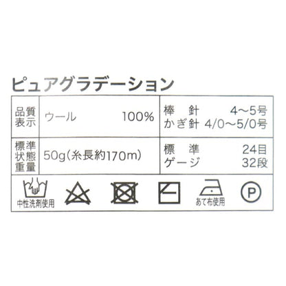 Fall and winterYarn "Pure gradation 5th color engine ZH1915"