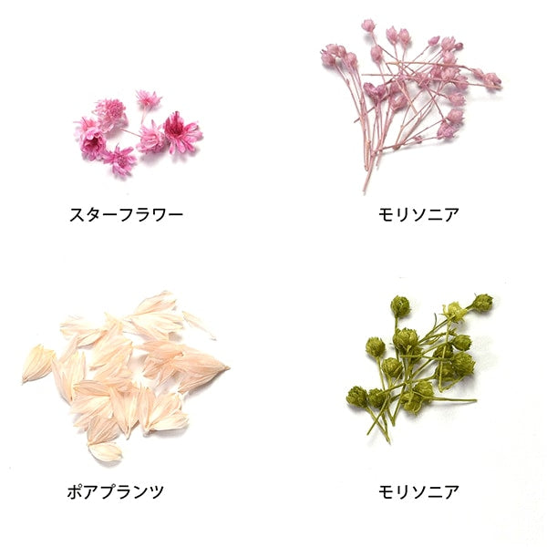 Resin material "Real Mix Flower Pink RS-741" Eruberu Elbert