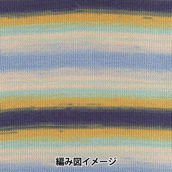 Весна / летоПряжа «Ski Croola 1818 Color» Skiyarn Ski пряжа