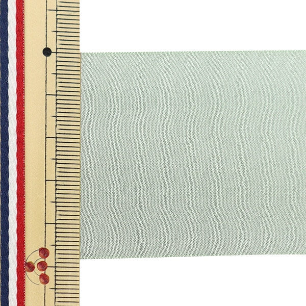 [Dalla quantità 5] Nastro "chiffonNastro 15 ° colore di circa 48 mm di larghezza 1453"