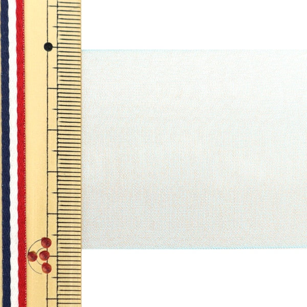 [Dalla quantità 5] Nastro "chiffonNastro 36 ° colore di circa 48 mm di larghezza 1453"