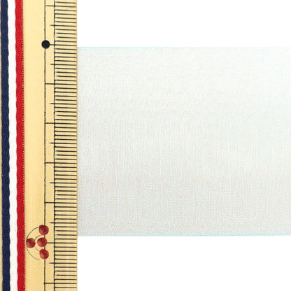 [Dalla quantità 5] Nastro "chiffonNastro 36 ° colore di circa 48 mm di larghezza 1453"