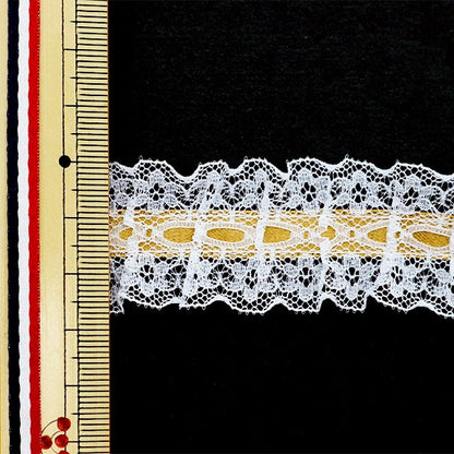 [من الكمية 5] دانتيل ``الشريطراسل فريل 2023 العرض 2.5 سم تقريبًا اللون 144 12432RB-144''