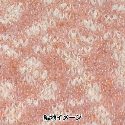 Fall and winterYarn "Fine Snow 3rd color" RICHMORE Rich More