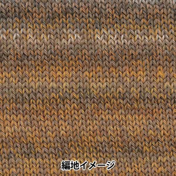 Otoño e inviernoHilos "Porcentaje de variación 302 color" Richmore Rich más