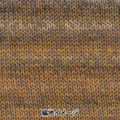 Otoño e inviernoHilos "Porcentaje de variación 302 color" Richmore Rich más