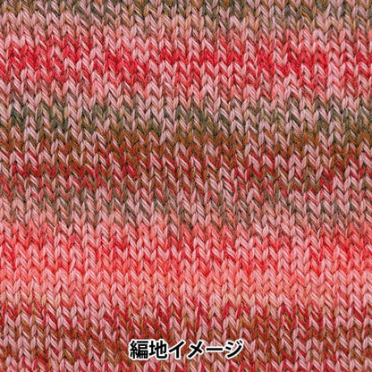 الخريف/الشتاءخيوط الغزل "نسبة التباين في اللون 303" RichMore RichMore