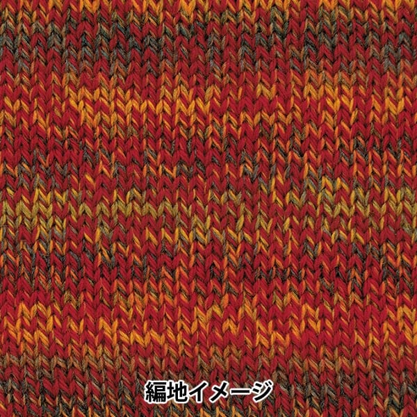 Autunno e invernoFilato "Percentuale variazione 304 ° colore" ricco ricco di più