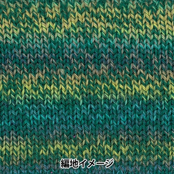 Otoño e inviernoHilos "Porcentaje de variación 306 ° color" Richmore Rich más