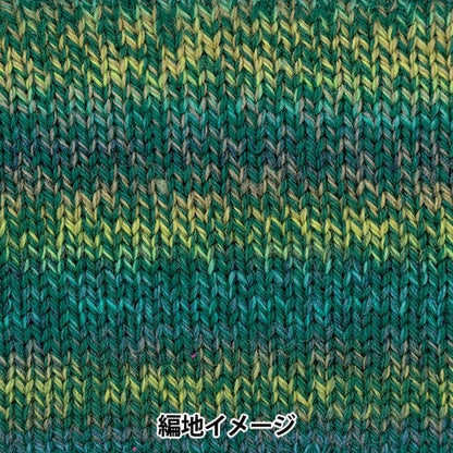 Otoño e inviernoHilos "Porcentaje de variación 306 ° color" Richmore Rich más