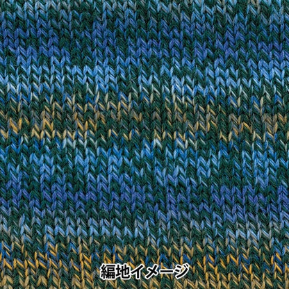 الخريف/الشتاءخيوط الغزل "نسبة التباين في اللون 308" RichMore RichMore