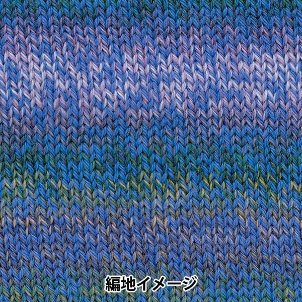 秋冬毛糸 『パーセントバリエーション 309番色』 RichMore リッチモア