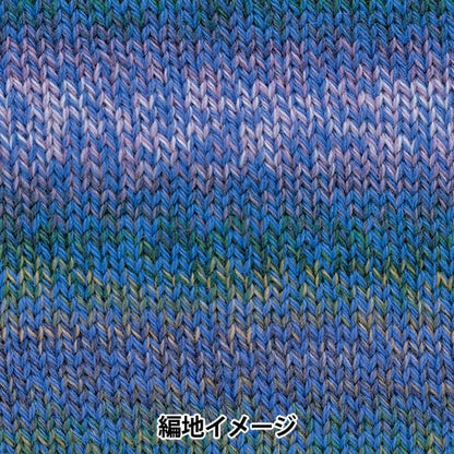 秋冬毛糸 『パーセントバリエーション 309番色』 RichMore リッチモア