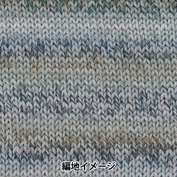 Otoño e inviernoHilos "Porcentaje de variación 310 Color" Richmore Rich más