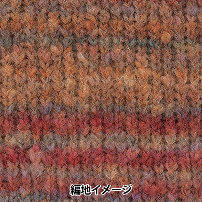 Herbst und WinterGarn "Theater 4th Color" Richmore Rich More