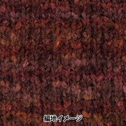 Herbst und WinterGarn "Theater 8. Farbe" Richmore Rich More