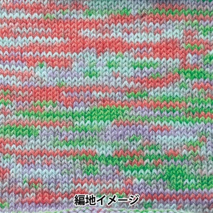 Fall and winterYarn "Rapx Multi Color 501 Color" Hamanaka