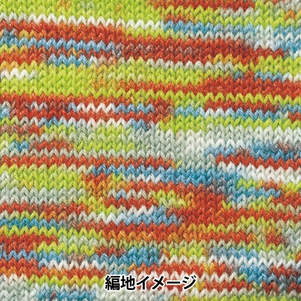 秋冬毛糸 『ラプックス マルチカラー 502番色』 Hamanaka ハマナカ