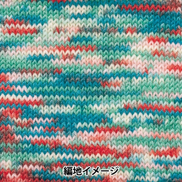 秋冬毛糸 『ラプックス マルチカラー 503番色』 Hamanaka ハマナカ