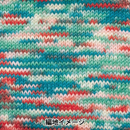 秋冬毛糸 『ラプックス マルチカラー 503番色』 Hamanaka ハマナカ