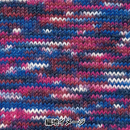 Autunno e invernoFilato "Rapx Multi -Color 506th Color" Hamanaka