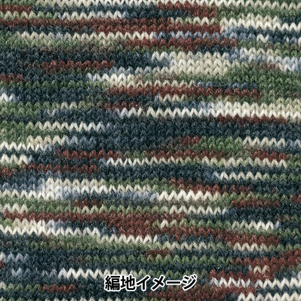 Autunno e invernoFilato "Rapx Multi Color 508th Color" Hamanaka