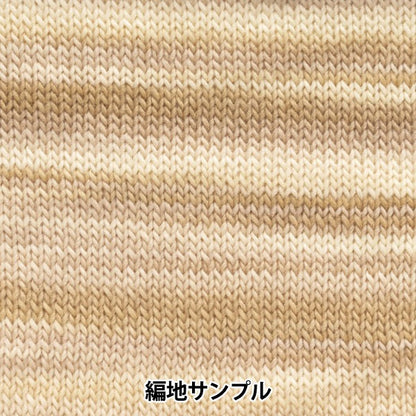 秋冬紗線 “ Waby（漸變）1號顏色” Hamanaka