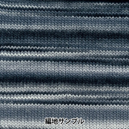 Fall and winterYarn "Waby (gradation) 4th color" Hamanaka