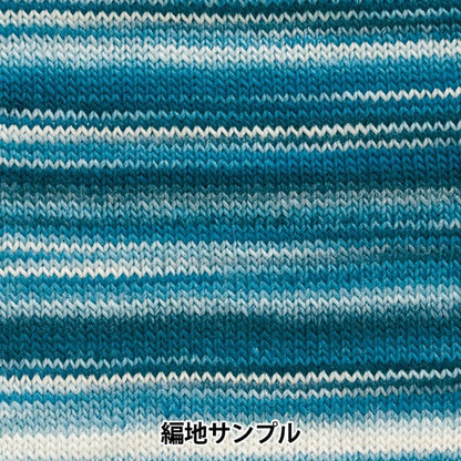 Fall and winterYarn "Waby (gradation) 5th color" Hamanaka