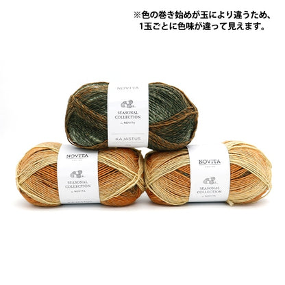 가을과 겨울털실 "Novita Kajastus 830 컬러 가을 하모니"Novita Novita