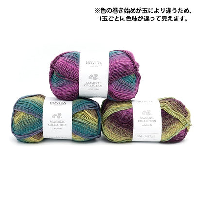 Autunno e invernoFilato "Novita Kajastus 982 Color Fanfare] Novita Novita