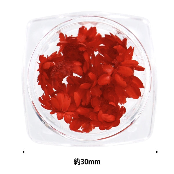 Resin material "Star Flower Red"