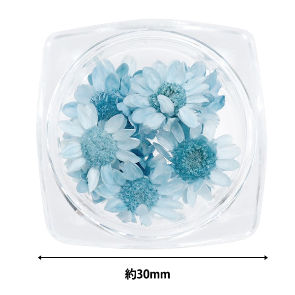 Harzmaterial "Sternblume Blau"