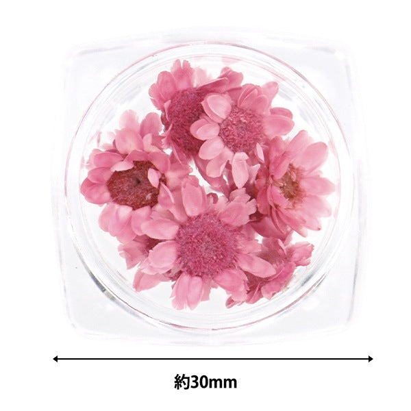 مادة الراتنج "Starflower Dark Pink"