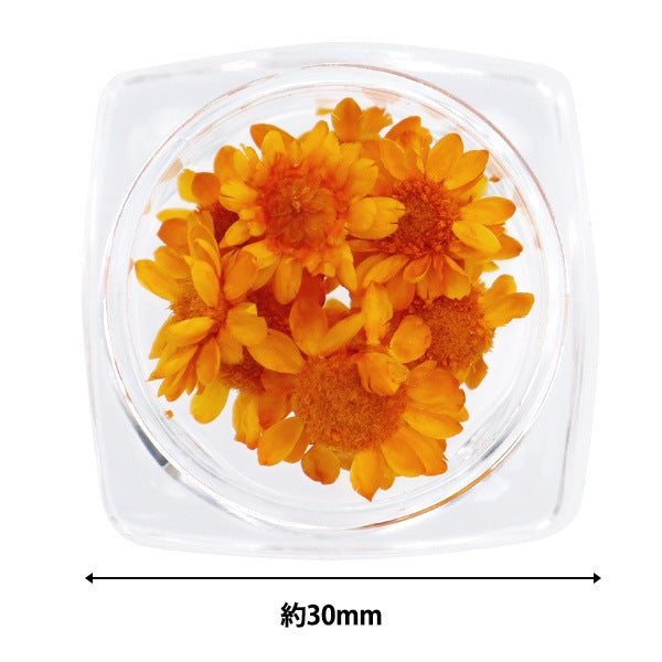 Harzmaterial "Sternblume Orange"