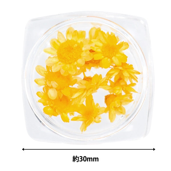 Resin material "Star Flower Yellow"