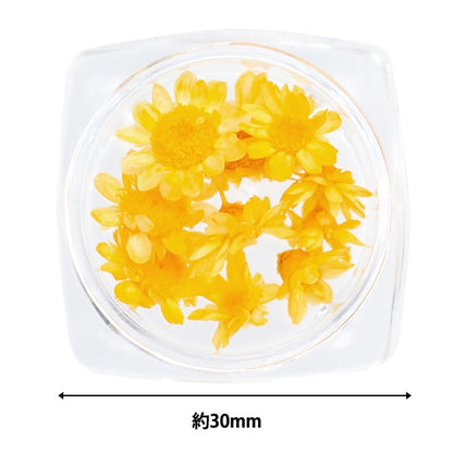 Resin material "Star Flower Yellow"