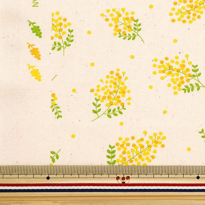 [From quantity 5] Fabric 『Sheeting Mimosa Natural Semimo-Na]