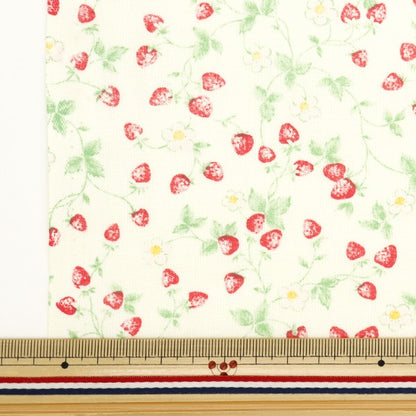 [From quantity 5] Fabric 『Sheeting Ichigo Natural NO-STRA-B]