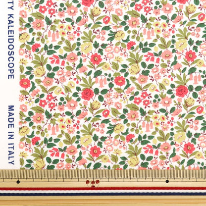 [À partir de 5] tissu "Liberty tissu tanalone astrid niva 3634198-24cu" Liberty Japan Liberty Japan