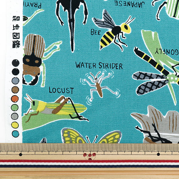 [Aus Menge 5] Stoff 『Oxford Buntes Canvas Insect Bilderbuch Turquoise Cocan-Inc-Ta] KOKKA