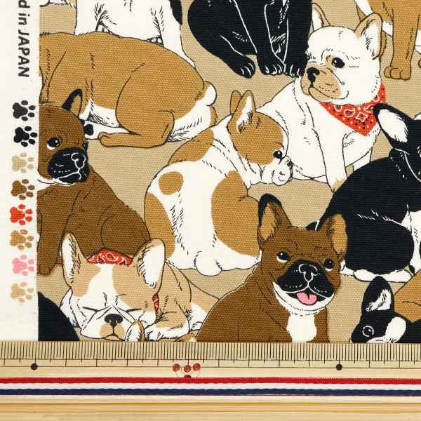 [From quantity 5] Fabric 『Oxford French bulldog light beige OX35406-1B]