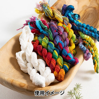 Embroidery thread "dyed -MARCHE (Somedche) thread 20/3 MT1" Olympus