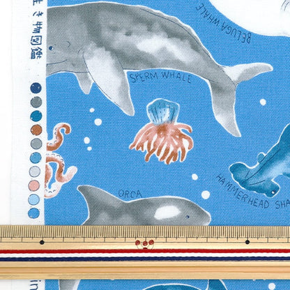 [De la quantité 5] tissu "Ox toile colorée créature marine bleu cocan-sea-bl" kokka cocka