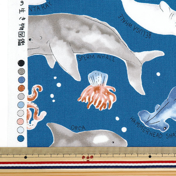 [Aus Menge 5] Stoff 『Oxford Buntes Canvas Sea Kreatures Marine Kokans-Sea-NV] KOKKA