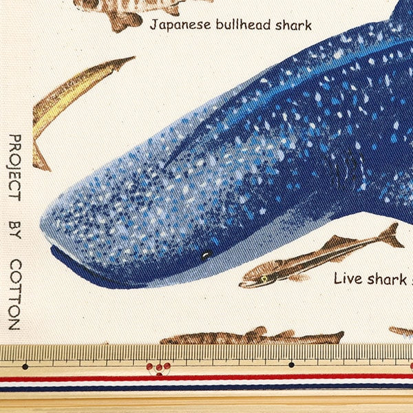 [De la quantité 5] Fabric "Twill Imprimé Shark Generation KTS7019-A" Cotton Kobayashi Cotton Kobayashi Kobayashi.