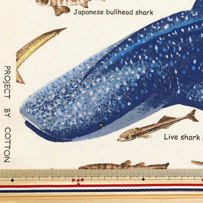 [來自數量5] 織物 “ Twill Print Shark Generation KTS7019-A” COTTON KOBAYASHI