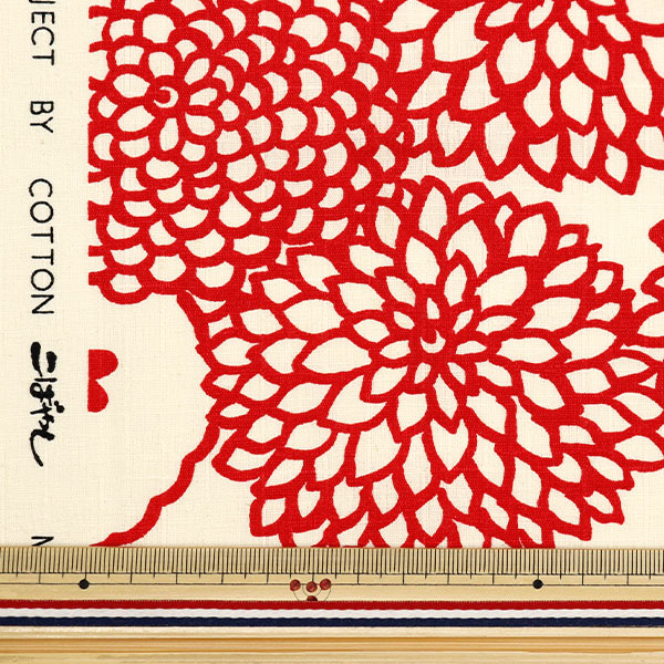 [From quantity 5] Fabric "Ukonoko cloth Southern Cross Deco Ivory x Red Up5924-A" COTTON KOBAYASHI