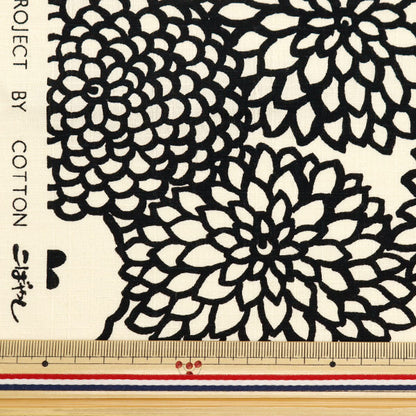 [From quantity 5] Fabric "Ukono cloth Southern Cross Deco Ivory x Black Up5924-B" COTTON KOBAYASHI