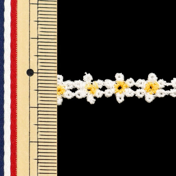 [De la quantité 5] Ruban "FloralRuban 2024 N ° 1 Couleur K231T-Lacep6"